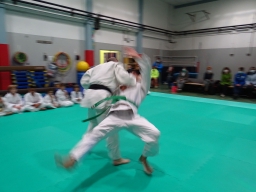 Judo Day 2021